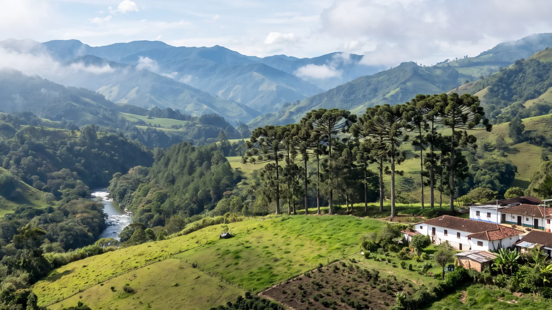 Imagen ilustrativa del paisaje de Santa Rosa de Cabal, Risaralda: valle con un río entre montañas con neblina, una hilera de araucarias en la loma y una casa blanca de techo de teja